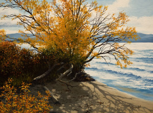 SOLD "Broken Branches" by Merv Brandel 12 x 16 - oil $1260 Unframed $1540 in show frame