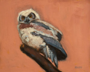 SOLD "Baby Owl," by Paul Healey 8 x 10 - oil $450 Unframed