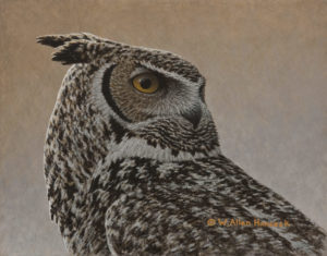 SOLD "Great Horned Owl," by W. Allan Hancock 8 x 10 - acrylic $900 Unframed