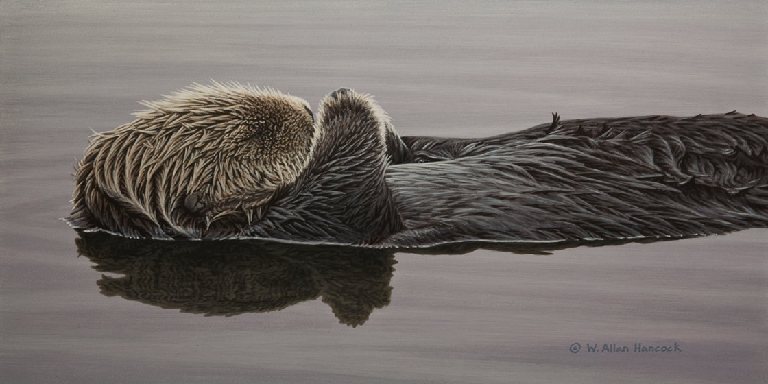 SOLD ``Waterbed - Sea Otter,`` by W. Allan Hancock 9 x 18 - acrylic $1500 Unframed