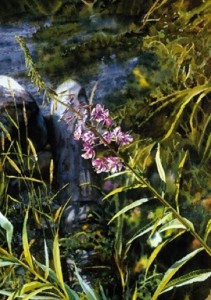 "Fireweed on the Beach," by Carol Evans 7 1/2 x 10 1/2 - Giclée on paper (edition size of 295) - $110 Unframed