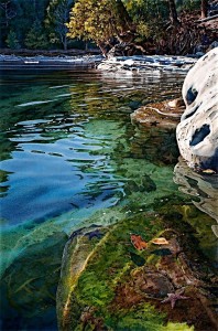"Intertidal Realm," by Carol Evans 18 1/2 x 28 - Giclée on paper (edition size of 100) - $495 Unframed 21 x 32 - Giclée on canvas (edition size of 295) - $675 Unframed