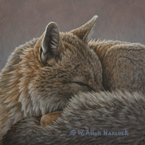 "Swift Fox No. 3," by W. Allan Hancock 6 x 6 - acrylic $500 Unframed