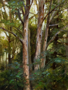 SOLD "Cottonwoods (Study) - Everett Crowly Park," by Renato Muccillo 9 x 12 - oil on panel $1480 with show frame