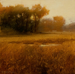 SOLD "Erba di Oro" (Study), by Renato Muccillo 4 x 4 - oil on panel $995 with Show frame