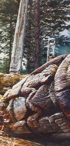 SOLD
"Cedar Story Tellers" by Carol Evans
14 x 28 – watercolour
$8000 Framed