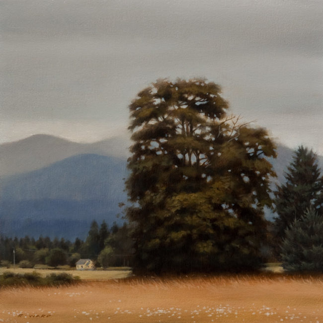 SOLD "The Old Oak," by Ray Ward 8 x 8 - oil $660 Unframed $810 Custom framed