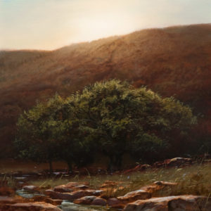 SOLD "Copper Valley," by Renato Muccillo 10 x 10 - oil $2520 in show frame