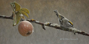 SOLD "A Touch of Gold - Golden-crowned Kinglet," by W. Allan Hancock 6 x 12 - acrylic $800 Unframed $1025 in show frame