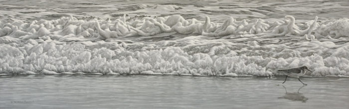 SOLD "Beach Run - Sanderling (winter plumage)," by W. Allan Hancock 12 x 38 - acrylic $3100 in show frame $2700 Unframed