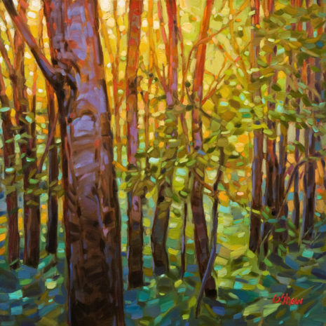 SOLD "Forest Light," by Graeme Shaw 20 x 20 - oil $1730 in show frame $1350 Unframed