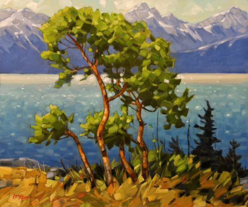 SOLD "Keel Cove Arbutus," by Graeme Shaw 20 x 24 - oil $2300 in show frame $1895 Unframed