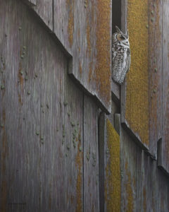 SOLD "The North Wall - Great Horned Owl," by W. Allan Hancock 24 x 30 - acrylic $3850 Unframed