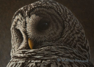 SOLD "Low Light - Barred Owl" by W. Allan Hancock 5 x 7 - acrylic $500 Unframed $685 in show frame