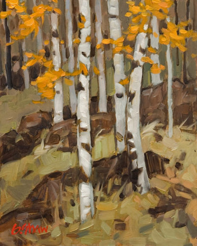 SOLD "Lakeside Birch" by Graeme Shaw 8 x 10 - oil $510 Unframed $700 in show frame