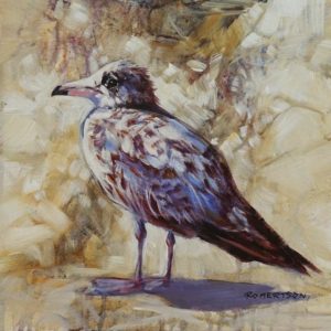 "Speckled Gull II," by Janice Robertson 12 x 12 - acrylic $730 (thick canvas wrap)