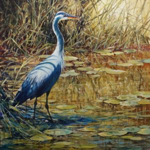 SOLD "Great Blue," by Janice Robertson 36 x 36 - acrylic $4150 (thick canvas wrap)