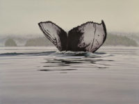 SOLD "Every Tail Tells a Story - Humpback Whale," by W. Allan Hancock 30 x 40 - acrylic $5280 Unframed $6000 in show frame