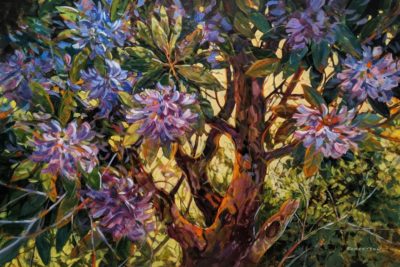 "Violet Shadows," by Janice Robertson 24 x 36 - acrylic $2950 Unframed