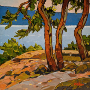 SOLD "Knob Hill Lookout, Nanoose Bay," by Graeme Shaw 10 x 10 - oil $570 Unframed