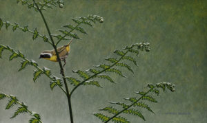 SOLD "Leaning into Spring - Common Yellowthroat," by W. Allan Hancock 12 x 20 - acrylic $1950 Unframed