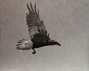 SOLD "Dark Wings - Raven," by W. Allan Hancock 16 x 20 - acrylic $2600 Unframed