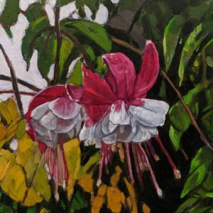 "Last Blooms of Summer," by Graeme Shaw 8 x 8 - oil $470 (artwork continues onto edges of wide canvas wrap)