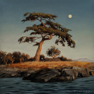 SOLD "Southey Fir," by Ray Ward 6 x 6 - oil $650 Unframed