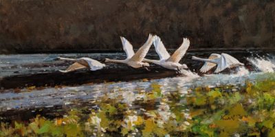 "White Swans," by Clement Kwan 12 x 24 - oil $3050 Unframed