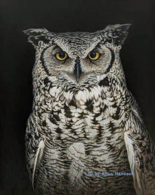 SOLD "In the Dark - Great Horned Owl," by W. Allan Hancock 9 1/2 x 12 - acrylic $1435 Unframed