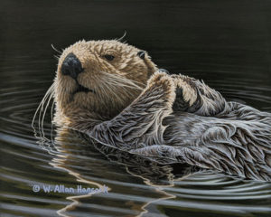 SOLD "All in Good Time - Sea Otter" by W. Allan Hancock 8 x 10 - acrylic $1070 Unframed