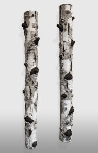 "Silver Moon" SOLD (BEBL-175) and "Stillness" SOLD (BEBL-176) by Bev Ellis wall-hang ceramic with 22K white gold fungi - each 26" (L) $400 each