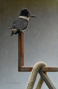 SOLD "Dockside - Belted Kingfisher," by W. Allan Hancock 12 x 18 1/2 - acrylic $2075 Unframed